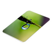 Makro-Wassertropfen Magnet (Linke Seite)