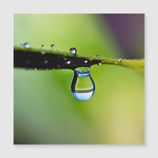 Makro-Wassertropfen Magnetkarte (Vorderseite)