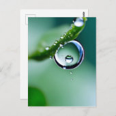 Makro-Wassertropfen Postkarte (Vorne/Hinten)