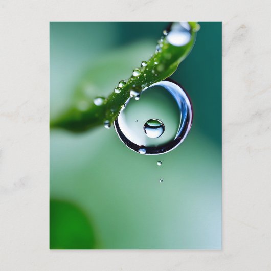 Makro-Wassertropfen Postkarte (Vorderseite)