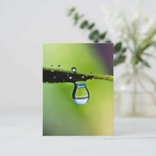 Makro-Wassertropfen Postkarte