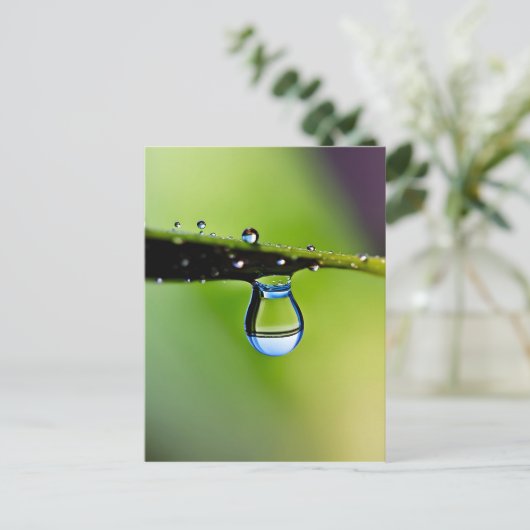 Makro-Wassertropfen Postkarte (Stehend Vorderseite)