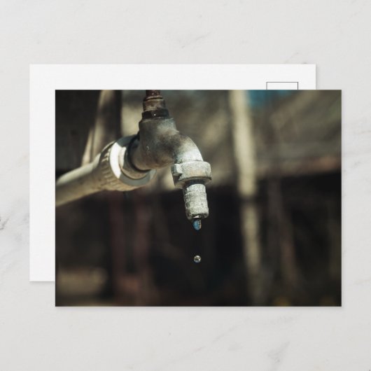 Makro-Wassertropfen Postkarte (Vorne/Hinten)