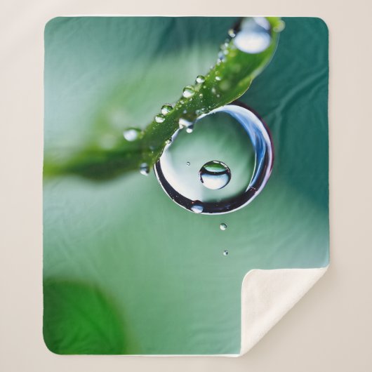 Makro-Wassertropfen Sherpadecke (Vorderseite)