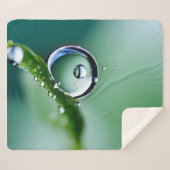 Makro-Wassertropfen Sherpadecke (Vorderseite (Horizontal))