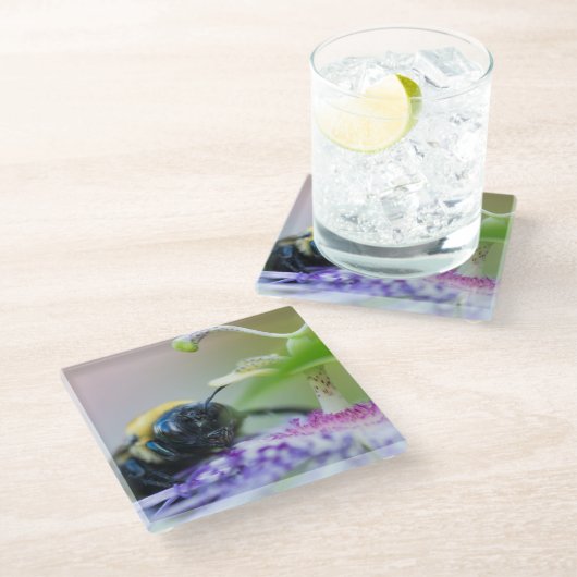 Makroaufnahme der Hummel Glasuntersetzer (Schrägansicht)