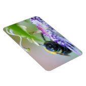 Makroaufnahme der Hummel Magnet (Rechte Seite)