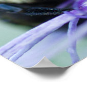 Makroaufnahme der Hummel Poster (Ecke)