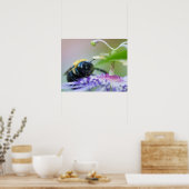 Makroaufnahme der Hummel Poster (Küche)