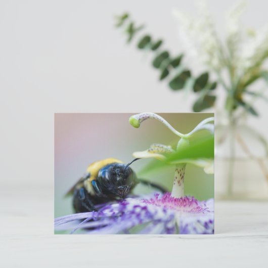 Makroaufnahme der Hummel Postkarte (Stehend Vorderseite)