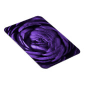 Makroaufnahme der lila Blume Magnet (Rechte Seite)