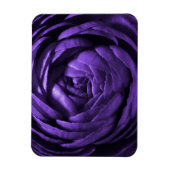 Makroaufnahme der lila Blume Magnet (Vertikal)