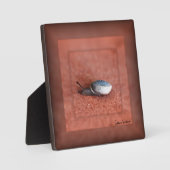 Makroaufnahme der Schnecke auf der Terracotta Fotoplatte (Vorderseite)