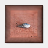 Makroaufnahme der Schnecke auf der Terracotta Magnet (Vorne)