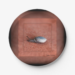 Makroaufnahme der Schnecke auf der Terracotta Pappteller