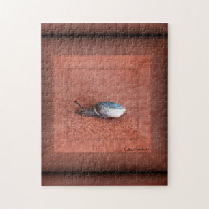 Makroaufnahme der Schnecke auf der Terracotta Puzzle