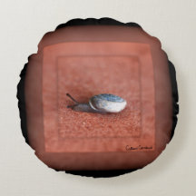 Makroaufnahme der Schnecke auf der Terracotta