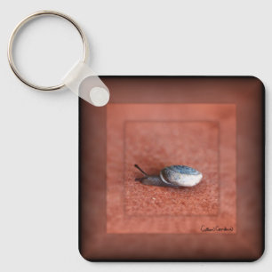 Makroaufnahme der Schnecke auf der Terracotta Schlüsselanhänger