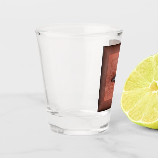 Makroaufnahme der Schnecke auf der Terracotta Schnapsglas (Links)