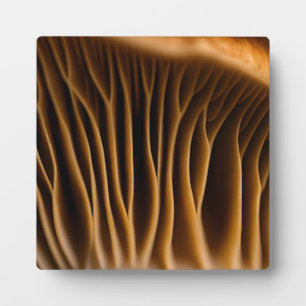 Makroaufnahme von goldbraunen Lamellen eines Pilze Fotoplatte
