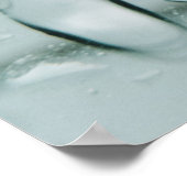 Makroaufnahme von Wassertropfen Poster (Ecke)