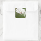 Makrobild eines Ladybird auf einer wilden Blume Quadratischer Aufkleber (Tasche)