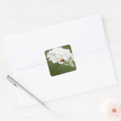 Makrobild eines Ladybird auf einer wilden Blume Quadratischer Aufkleber (Umschlag)