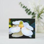 Makrobild Magnolia-Blume Postkarte (Stehend Vorderseite)