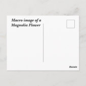Makrobild Magnolia-Blume Postkarte (Rückseite)