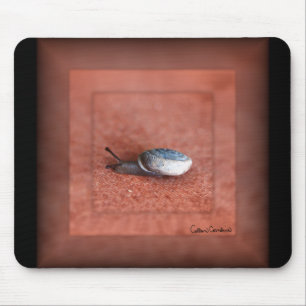 Makrofoto einer Schnecke auf Terrakotta Mousepad