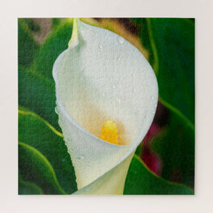 Makrofoto einer weißen Calla-Lilie, botanische Nat Puzzle