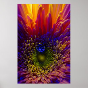 MakroFotoblumenplakatfeuer und -wasser VON 8,99 Poster