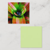 Makrofotografie aus Bromeliad Quadratische Visitenkarte (Vorne/Hinten)