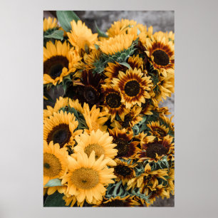 MAKROFOTOGRAFIE DER GELBEN SONNENBLUMEN POSTER
