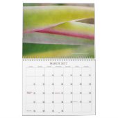 Makrofotografie Kalender (Mär 2027)
