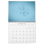 Makrofotografie Kalender (Jan 2027)