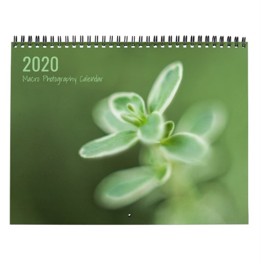 Makrofotografie Kalender (Titelbild)