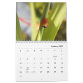 Makrofotografie-Kalender Kalender (Jan 2027)