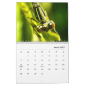 Makrofotografie-Kalender Kalender (Mär 2027)