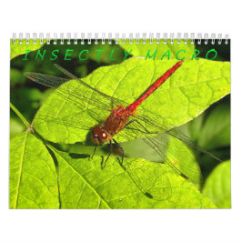 Makrofotografie-Kalender Kalender