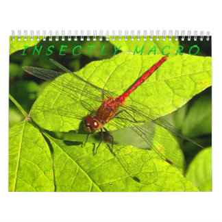 Makrofotografie-Kalender Kalender
