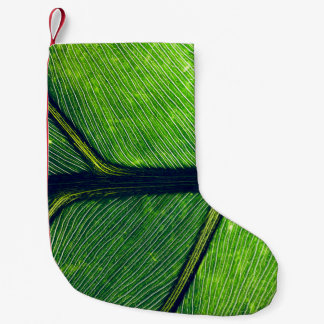 Makrofotografie Kleiner Weihnachtsstrumpf