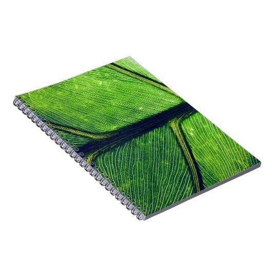 Makrofotografie Notizblock (Rechte Seite)