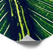 Makrofotografie Poster (Ecke)