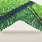 Makrofotografie Sherpadecke (3/4)