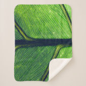 Makrofotografie Sherpadecke (Vorderseite)