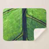 Makrofotografie Sherpadecke (Vorderseite (Horizontal))