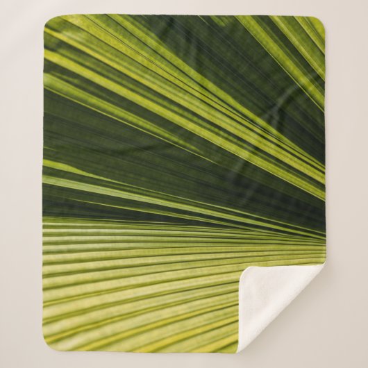 Makrofotografie Sherpadecke (Vorderseite)