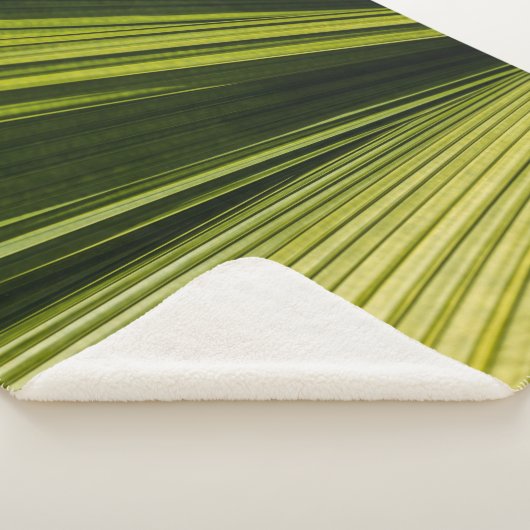 Makrofotografie Sherpadecke (3/4)