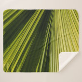 Makrofotografie Sherpadecke (Vorderseite (Horizontal))